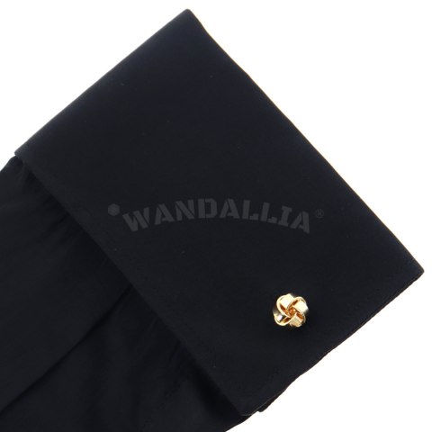 WANDALLIA SP-MN-282 WANDALLIA SP-MN-282
