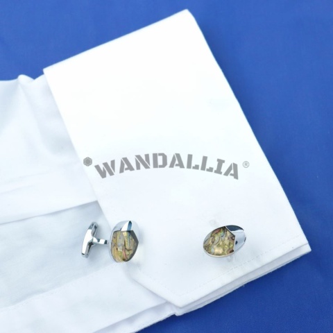WANDALLIA SP-MN-661 WANDALLIA SP-MN-661