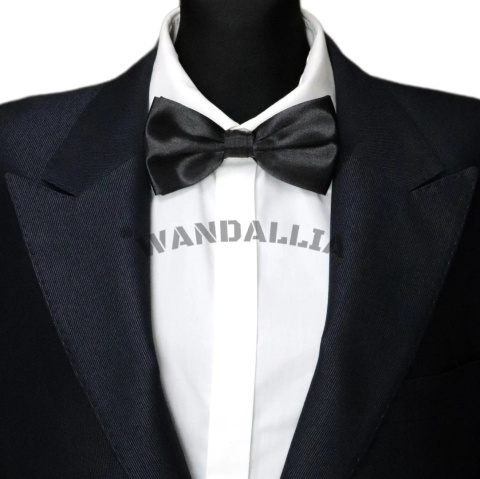 WANDALLIA MCH-M-13 WANDALLIA MCH-M-13