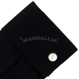 WANDALLIA SP-MN-6