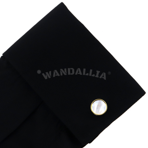 WANDALLIA SP-MN-6 WANDALLIA SP-MN-6