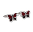 WANDALLIA SP-MN-231
