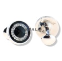 WANDALLIA SP-MN-71