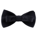 WANDALLIA MCH-D-2