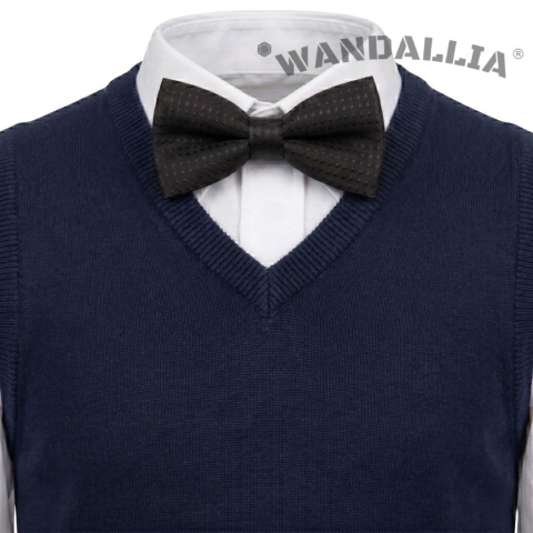 WANDALLIA MCH-D-2