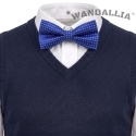 WANDALLIA MCH-D-6