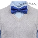 WANDALLIA MCH-D-6