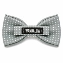 WANDALLIA MCH-D-8