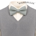 WANDALLIA MCH-D-8